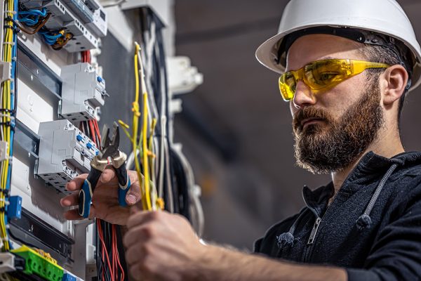 the electrical inspection